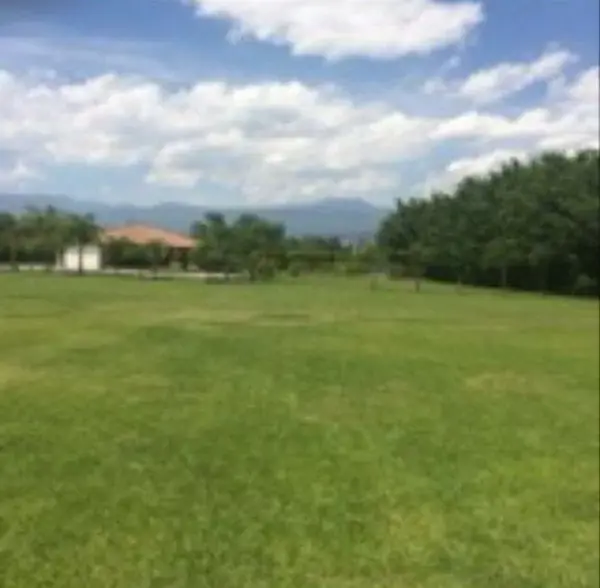 Terreno en venta en Los Pinos Jiutepec, Jiutepec — foto 3 de 10
