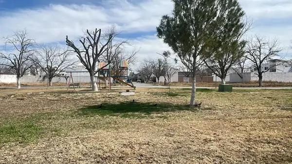 Terreno en venta en San Armando, Torreón — foto 2 de 2