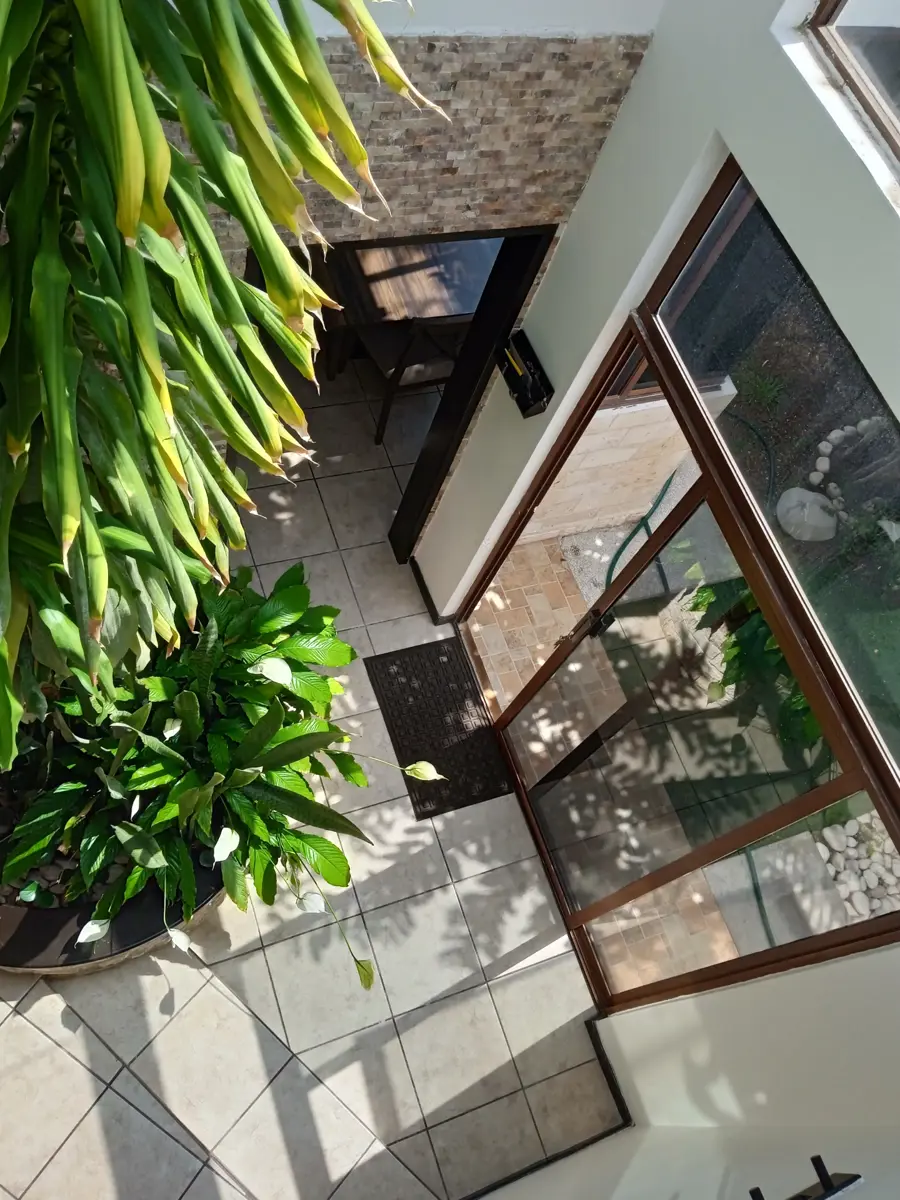 picture-4