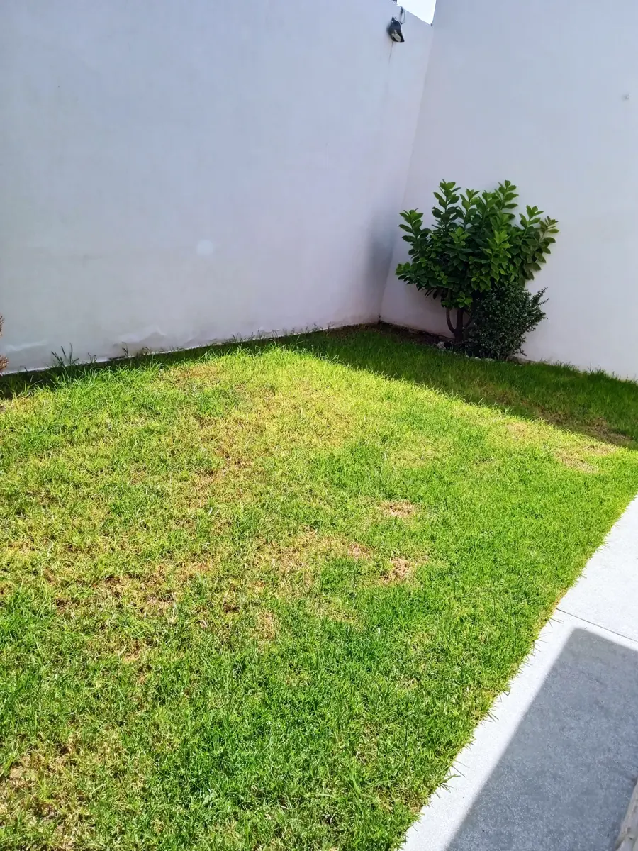 picture-3
