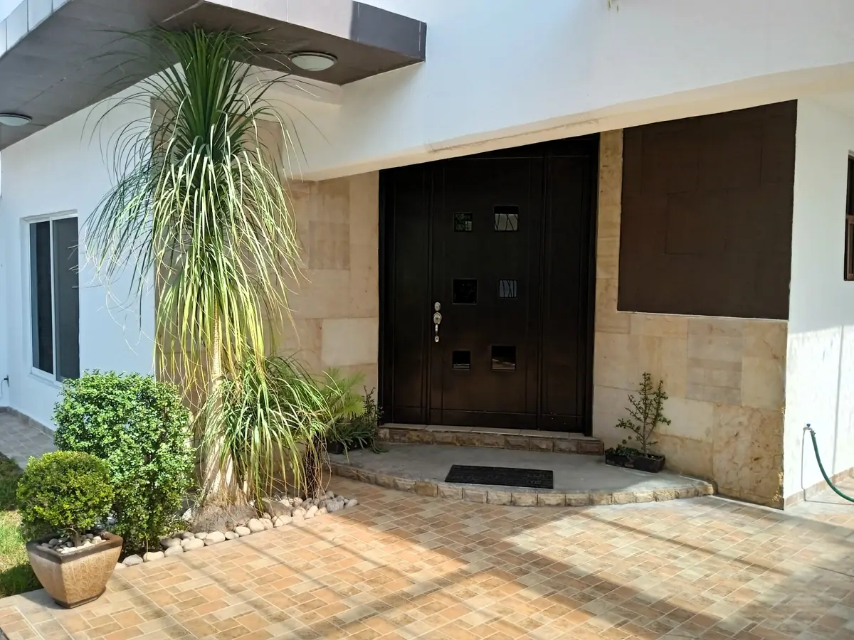 picture-2