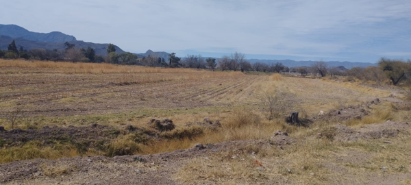 Terreno en venta en Seis de Enero, Lerdo — foto 2 de 5