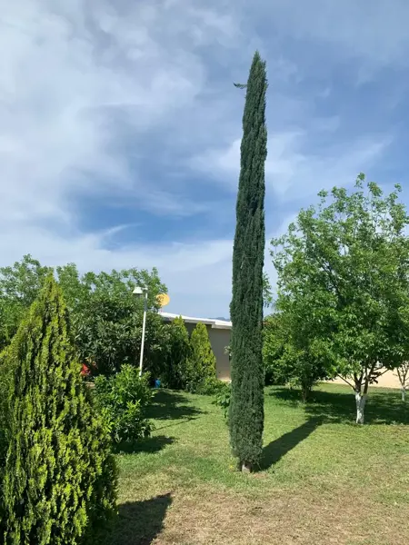 Quinta en venta en Bustamante, Bustamante — foto 3 de 11