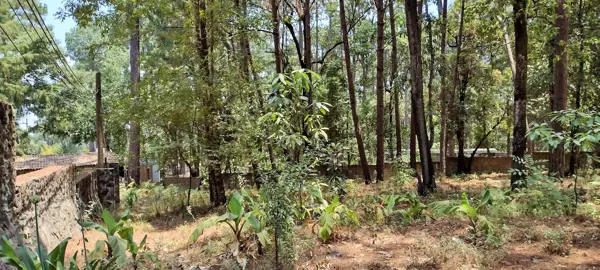 Terreno en venta en Avandaro, Valle de Bravo — foto 2 de 5