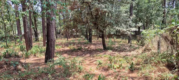 Terreno en venta en Avandaro, Valle de Bravo — foto 3 de 5