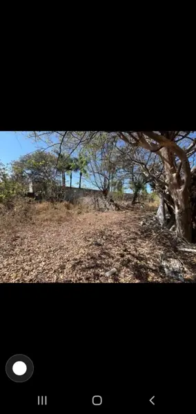 Terreno en venta en Lomas Del Valle, Zapopan — foto 3 de 4