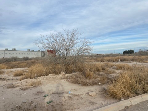 Terreno en Parque Industrial Ferropuerto, Torreón, Coahuila de Zaragoza