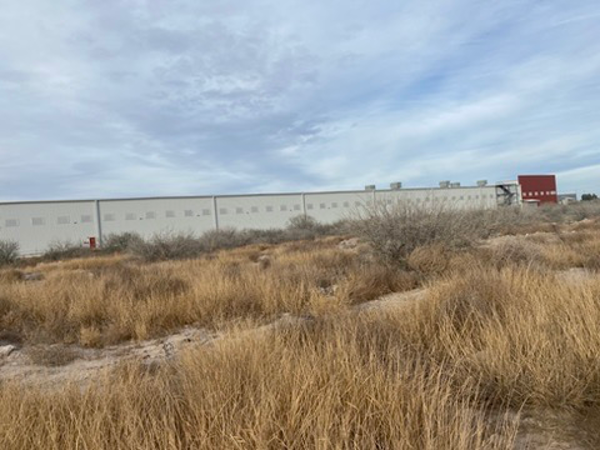 Terreno en venta en Parque Industrial Ferropuerto, Torreón — foto 3 de 5