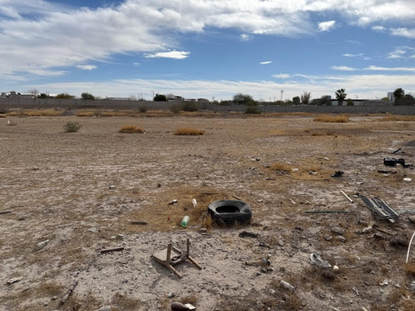 Terreno en venta en Nueva Laguna Norte, Torreón — foto 3 de 4