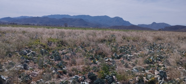 Terreno en venta en Seis de Enero, Lerdo — foto 3 de 4