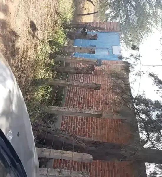 Casa en venta en Santa Cruz de las Flores, Tlajomulco de Zúñiga — foto 2 de 6