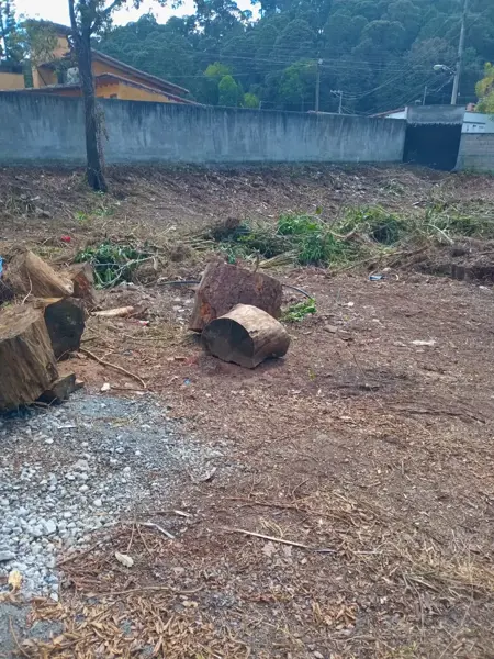 Terreno en venta en Avandaro, Valle de Bravo — foto 3 de 4