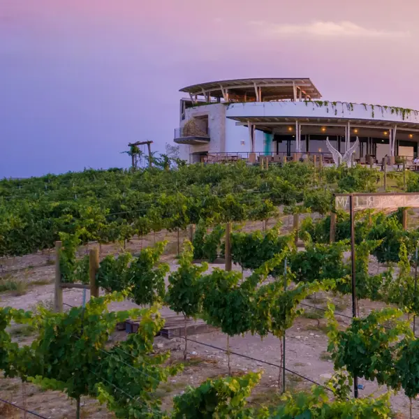 Terreno en venta en Parras, Parras, Coahuila de Zaragoza