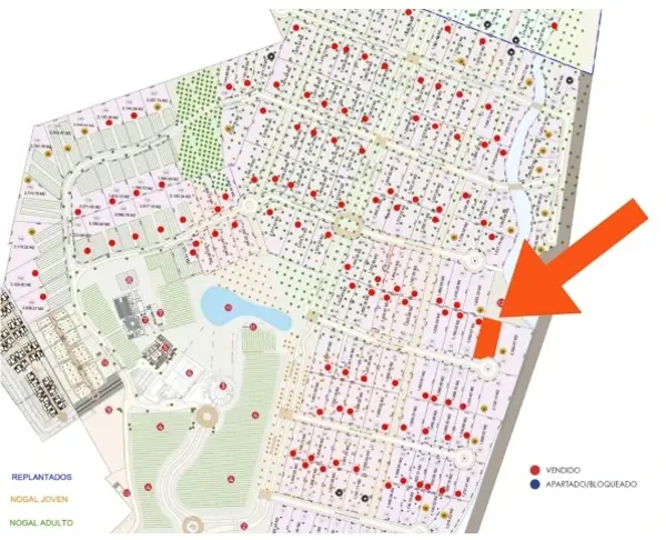 Terreno en venta en Parras, Parras — foto 3 de 6