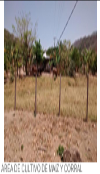 Terreno en venta en Villa Corzo, Villa Corzo — foto 2 de 7