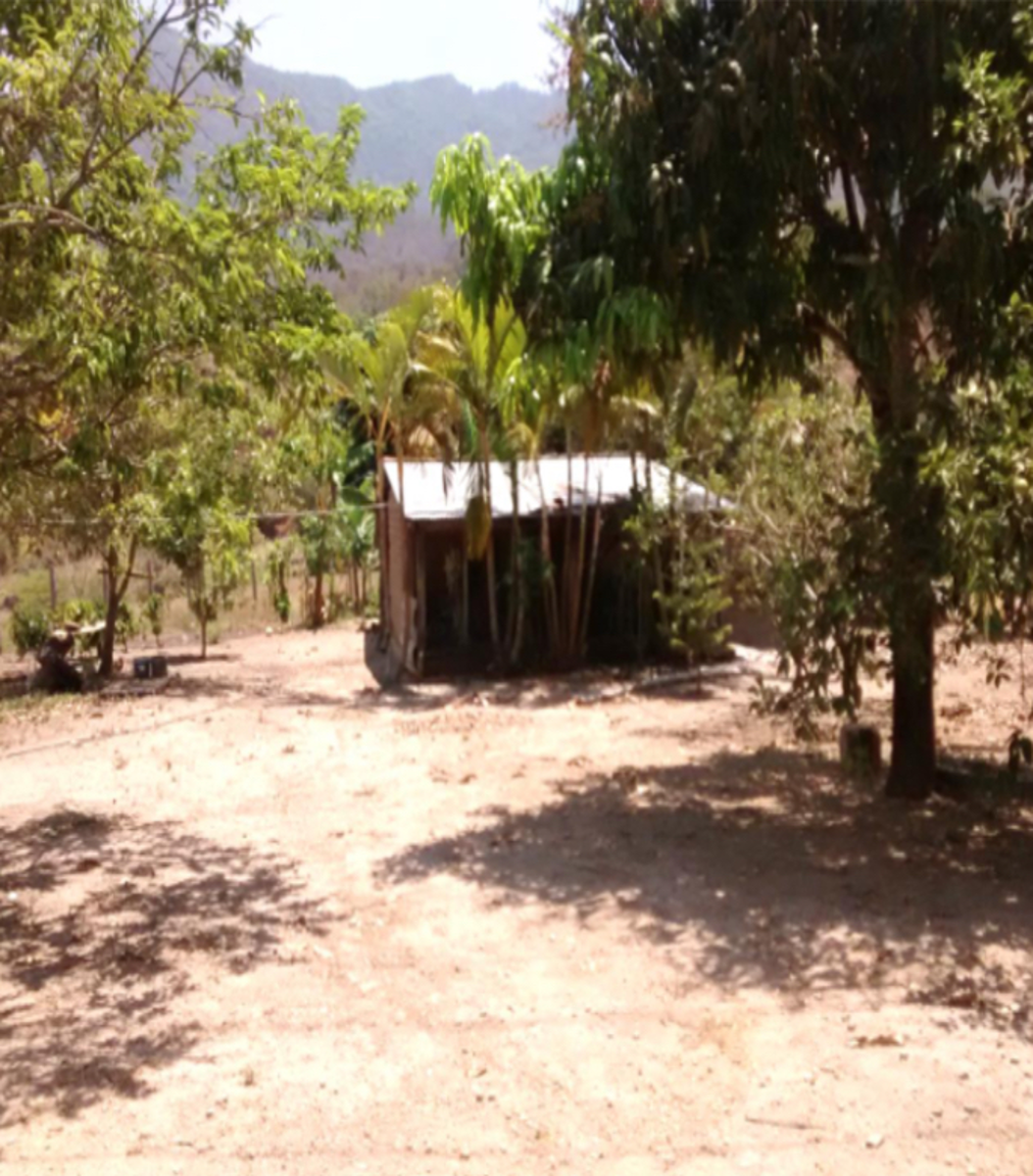 Terreno en venta en Villa Corzo, Villa Corzo — foto 1 de 7