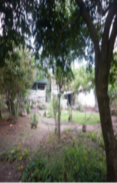 Terreno en venta en Dolores Jaltenango, La Concordia — foto 3 de 14