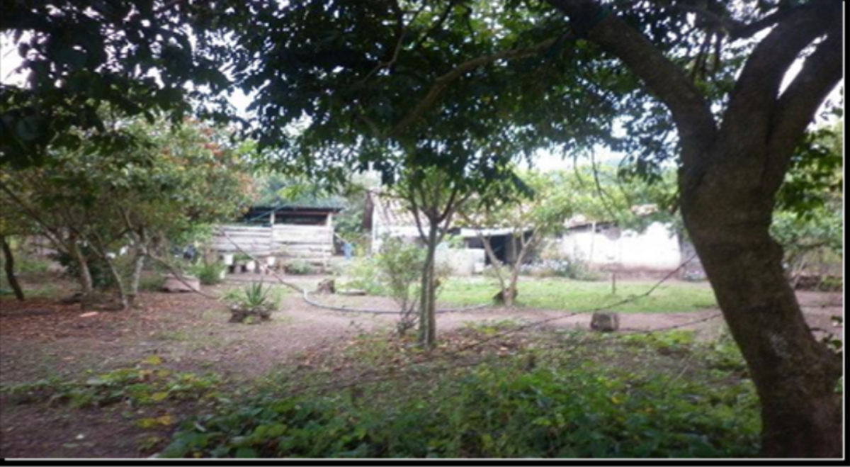 Terreno en venta en Dolores Jaltenango, La Concordia — foto 1 de 14