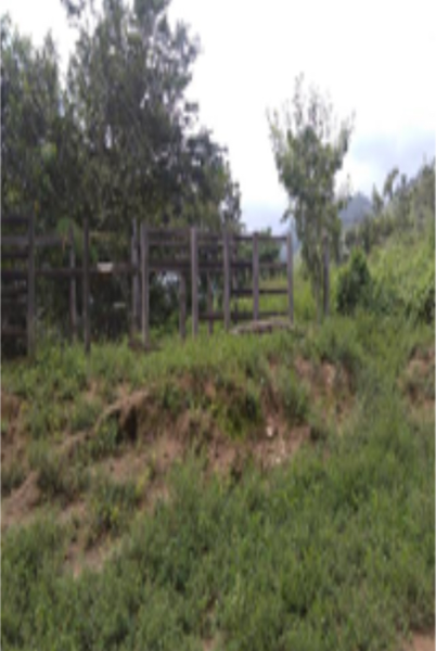 Terreno en venta en La Libertad, Villa Corzo — foto 3 de 11