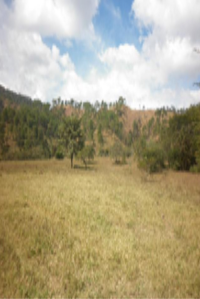 Terreno en venta en Villa Corzo, Villa Corzo — foto 3 de 8