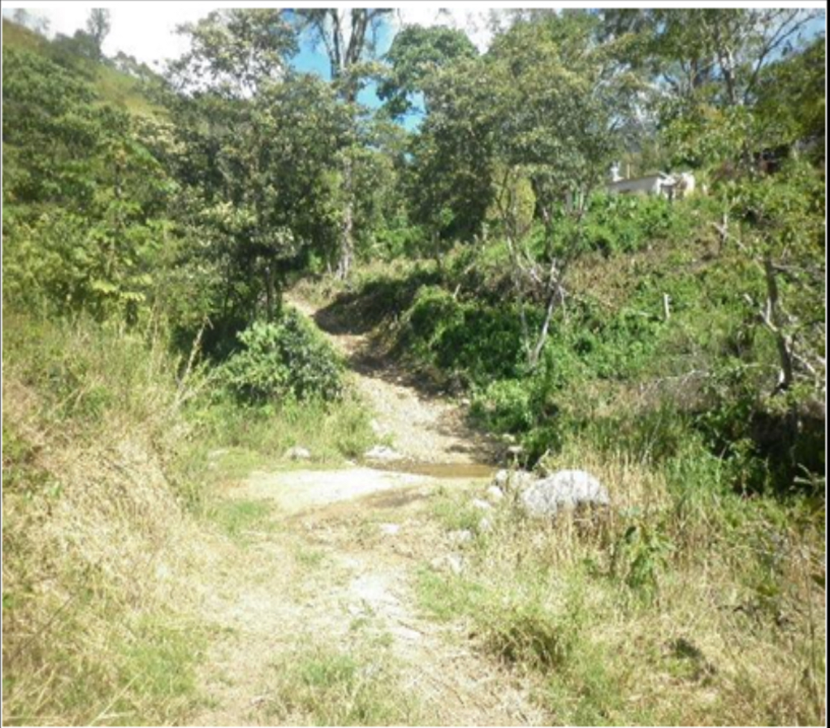 Terreno en venta en Buenavista, Villa Corzo — foto 1 de 12