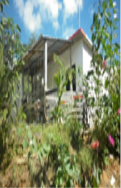 Terreno en venta en Buenavista, Villa Corzo — foto 2 de 12