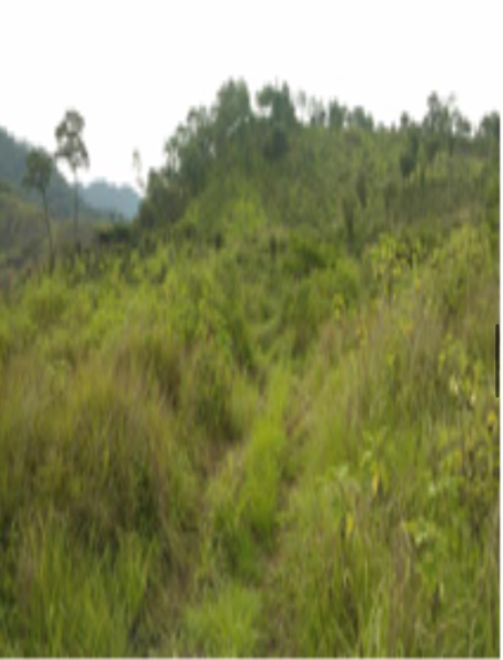 Terreno en venta en Villa Corzo, Villa Corzo — foto 2 de 9