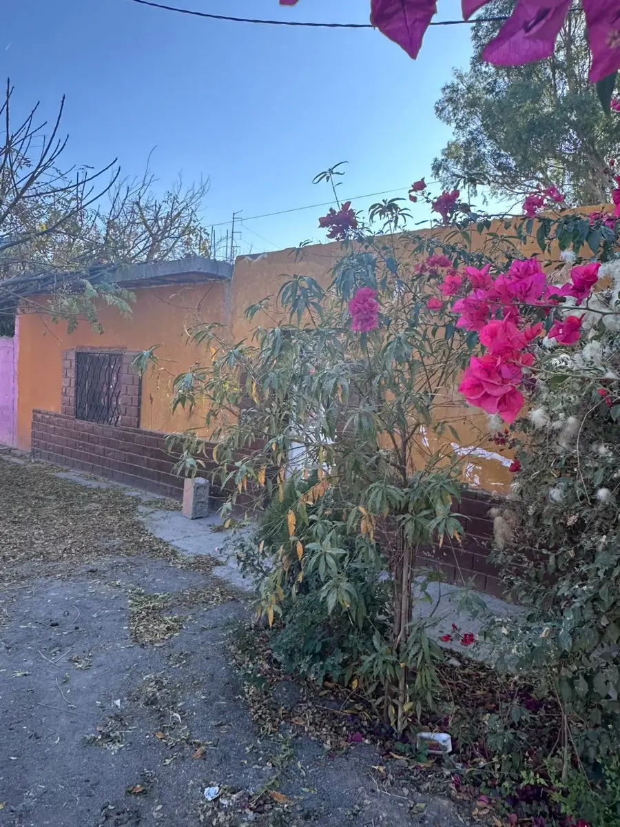 Terreno en Venta en Paso del Aguila, Torreón, Coahuila de Zaragoza