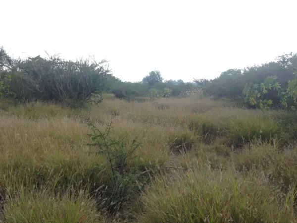 Terreno en venta en Cortazar Centro, Cortazar — foto 3 de 11