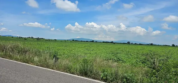 Terreno en venta en El Sauz de Belén (Quemado), Apaseo El Alto — foto 3 de 7