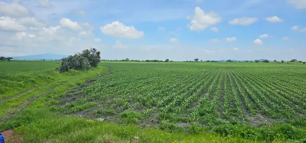 Terreno en venta en El Sauz de Belén (Quemado), Apaseo El Alto — foto 2 de 7