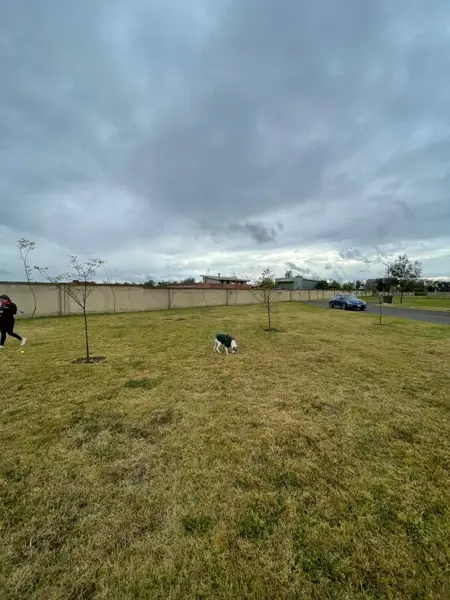 Terreno en venta en Val Quirico, Tetlatlahuca — foto 3 de 14