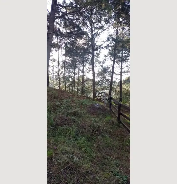 Terreno en venta en Mazamitla, Mazamitla — foto 2 de 17