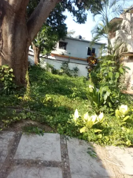 Casa en venta en Comalcalco Centro, Comalcalco — foto 3 de 29