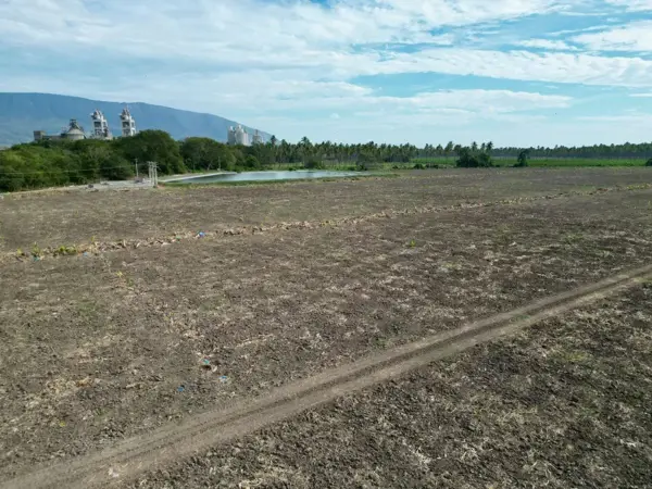 Finca-Rancho en renta en La Estación, Tecomán — foto 2 de 20