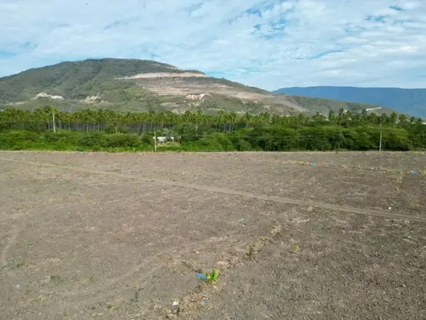 Finca-Rancho en renta en La Estación, Tecomán — foto 3 de 20