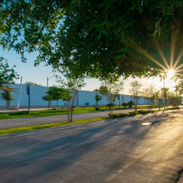 Terreno en venta en La Union, Torreón — foto 2 de 9