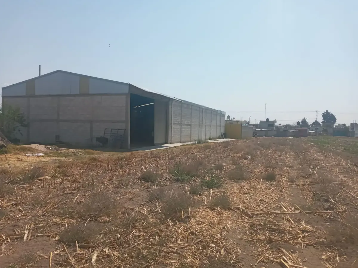Bodega en renta en San Mateo Capultitlán, Huejotzingo — foto 1 de 16