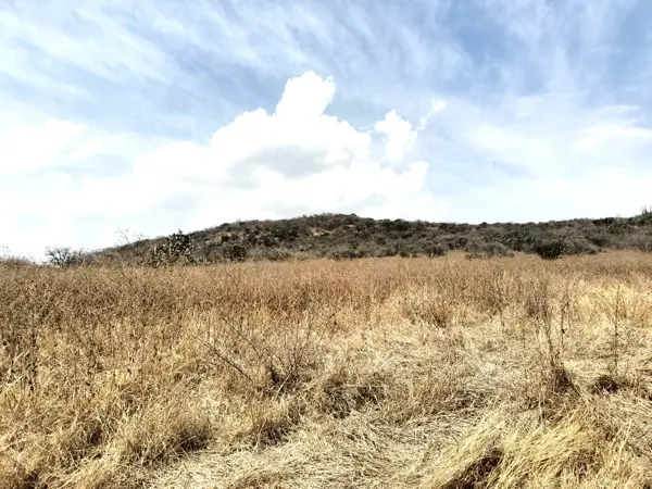 Terreno en venta en La Venta de Ajuchitlancito, Pedro Escobedo — foto 3 de 11