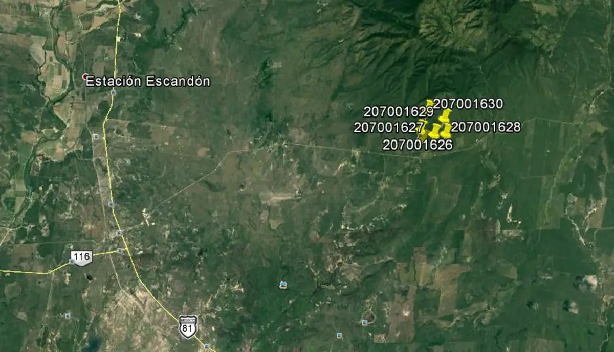 Terreno en venta en Voz Campesina (Ampliación las Minas), Llera — foto 1 de 23