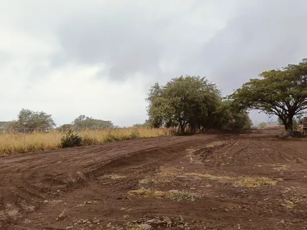 Terreno en venta en Campo Verde, Comala — foto 3 de 4