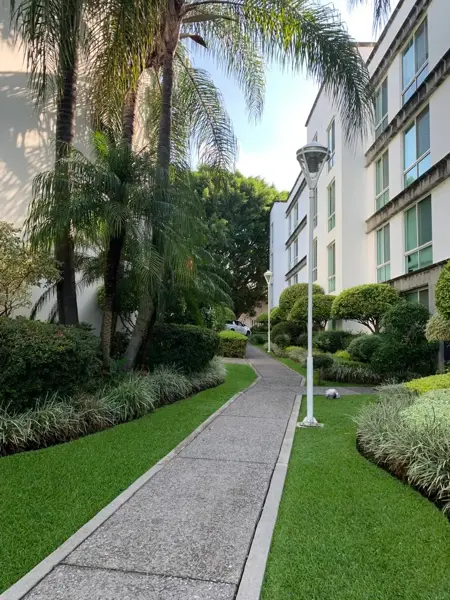 Departamento en renta en Cuernavaca Centro, Cuernavaca — foto 2 de 20