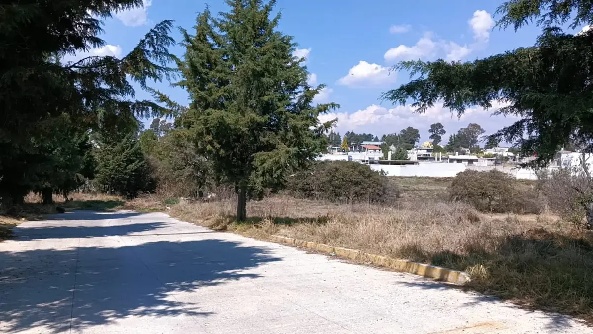 Terreno en venta en Zavaleta, San Damián Texoloc — foto 1 de 16
