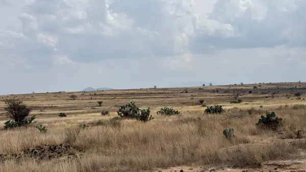 Terreno en venta en Los Reyes, Amealco de Bonfil — foto 3 de 13