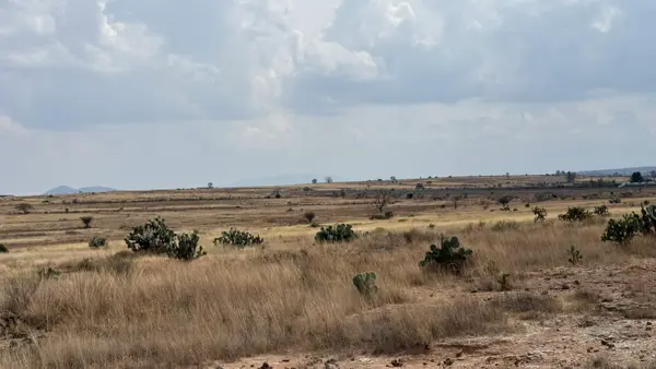 Terreno en venta en Los Reyes, Amealco de Bonfil — foto 2 de 13