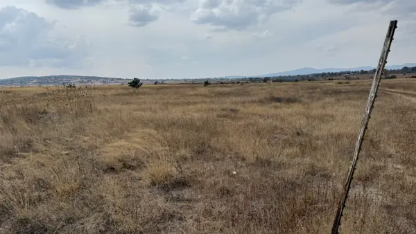Terreno en venta en Los Reyes, Amealco de Bonfil — foto 3 de 16