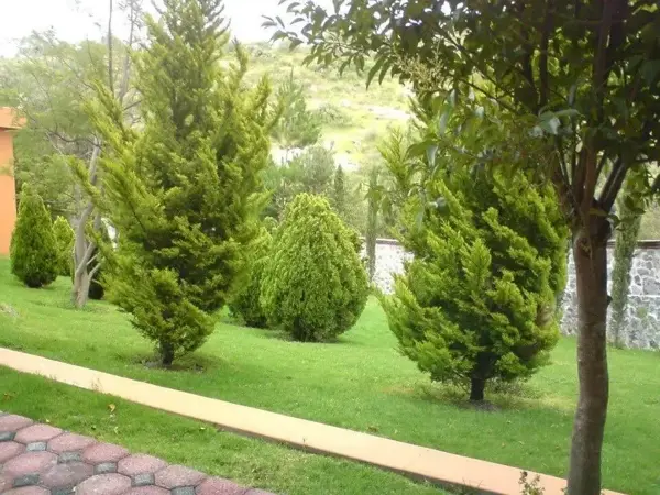 Finca-Rancho en venta en Santa Ines, Texcoco — foto 3 de 11