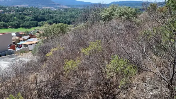 Terreno en venta en Bosque Monarca, Morelia — foto 3 de 8