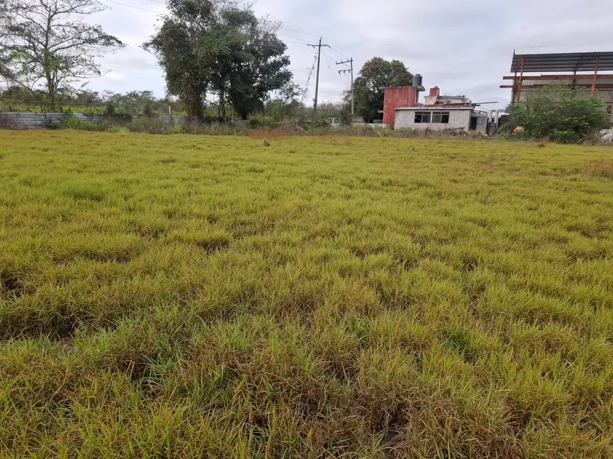 Terreno en venta en Medellín, Medellín de Bravo — foto 1 de 5