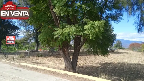 Terreno en venta en Reyes Mantecon, San Bartolo Coyotepec — foto 2 de 5